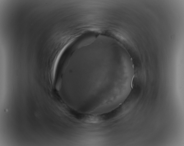 X0000088190127200705221710