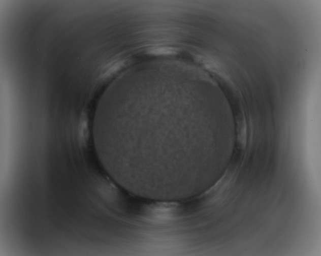 X0000088190128200705221710