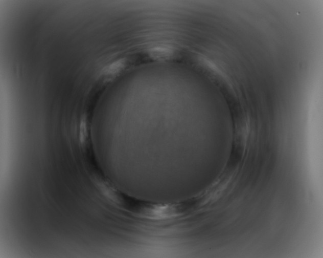 X0000088190130200705221710
