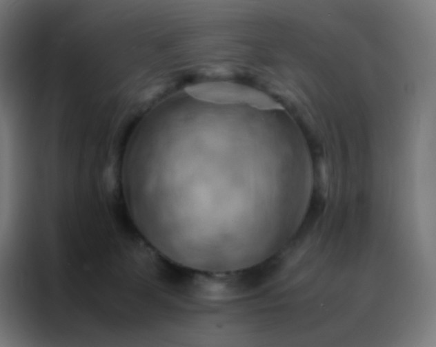 X0000088190131200705221710