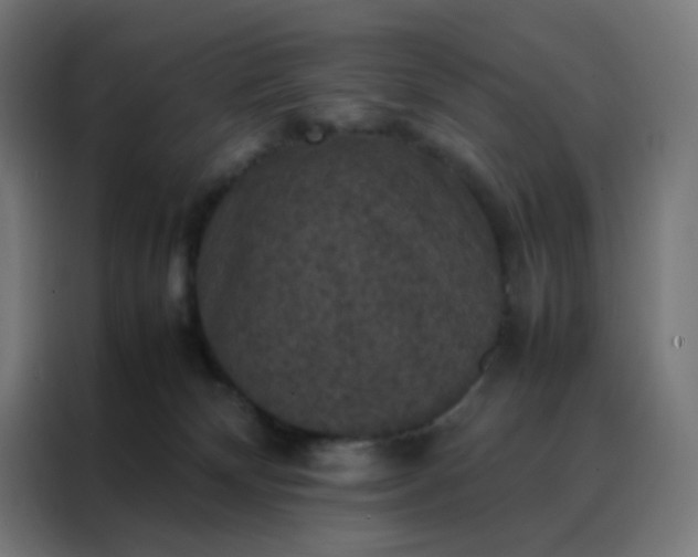 X0000088190132200705221710