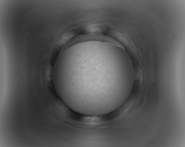 X0000088190133200705221710
