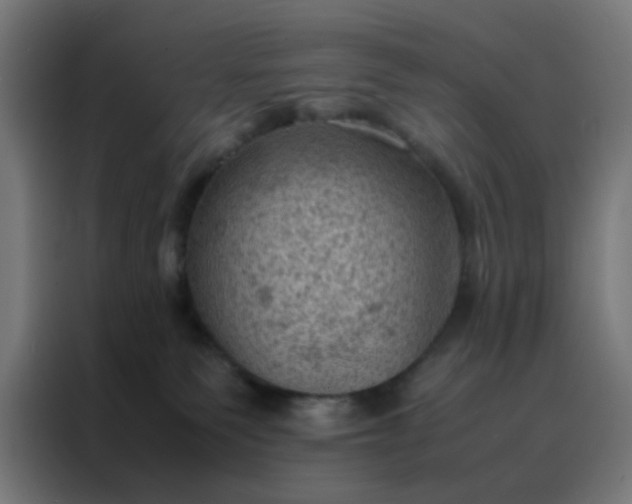 X0000088190135200705221710