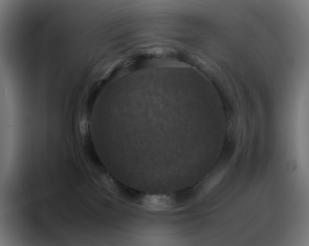 X0000088190137200705221710