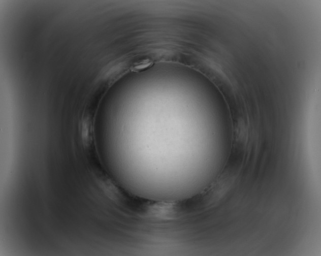 X0000088190138200705221710
