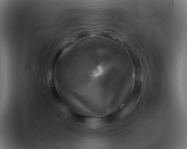 X0000088190139200705221710