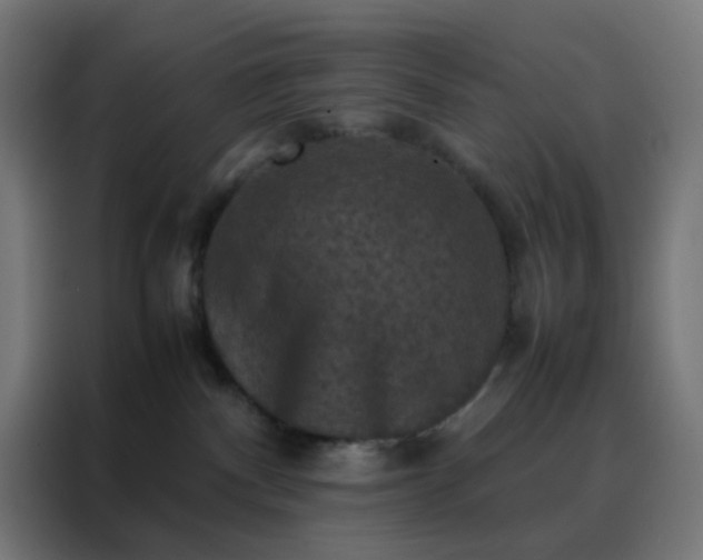 X0000088190140200705221710