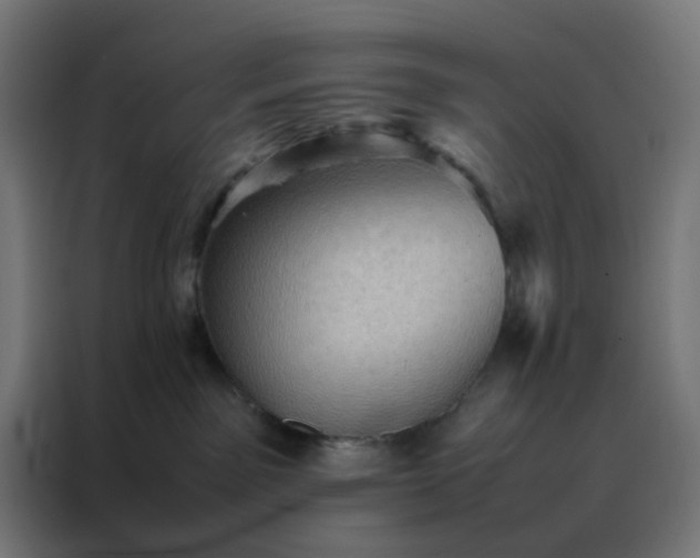 X0000088190141200705221710