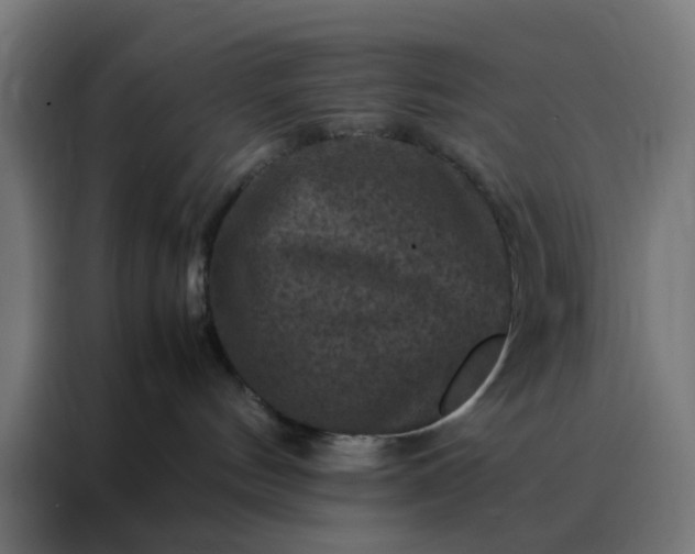 X0000088190144200705221710