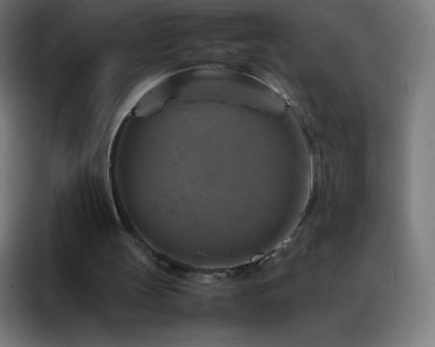 X0000088190147200705221709