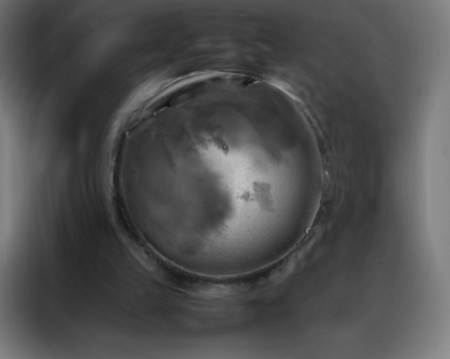 X0000088190149200705221709