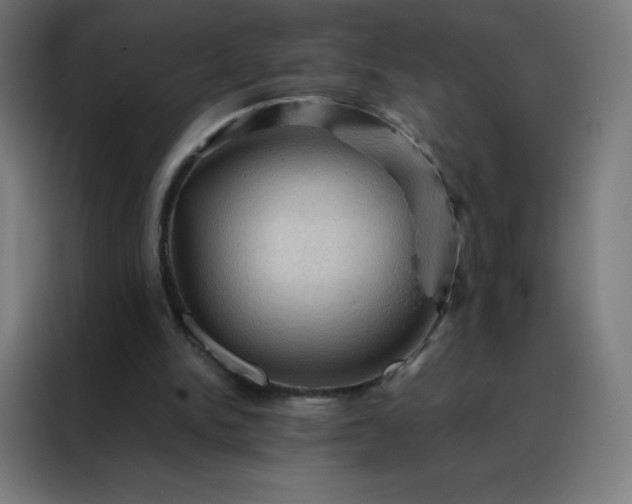 X0000088190150200705221709