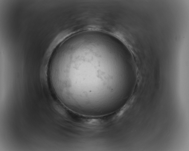 X0000088190151200705221709