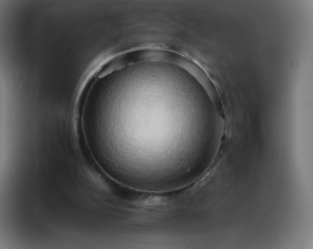 X0000088190152200705221709