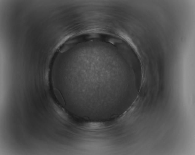 X0000088190154200705221709