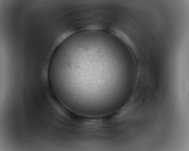 X0000088190155200705221709