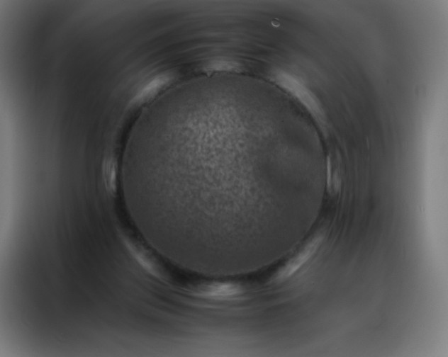 X0000088190157200705221709