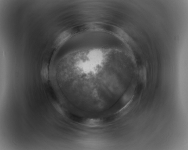 X0000088190158200705221709