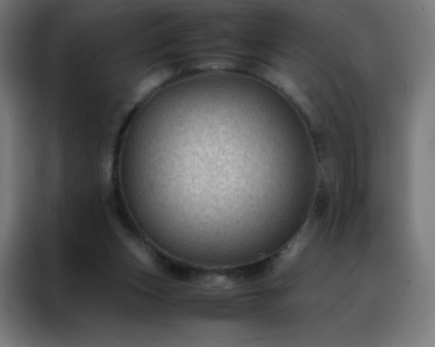 X0000088190159200705221709