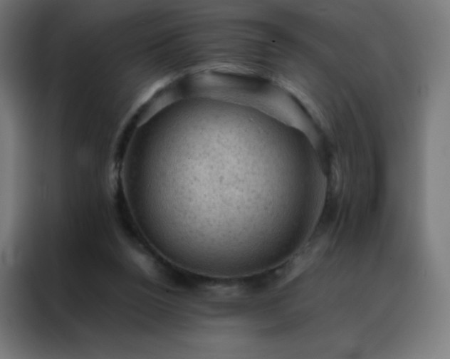 X0000088190160200705221709