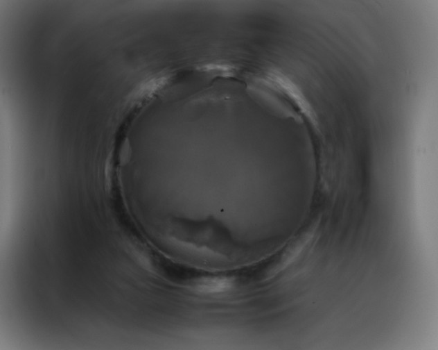 X0000088190161200705221709