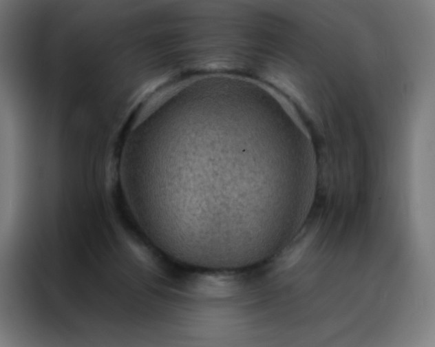 X0000088190164200705221709