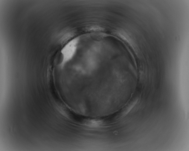X0000088190165200705221709