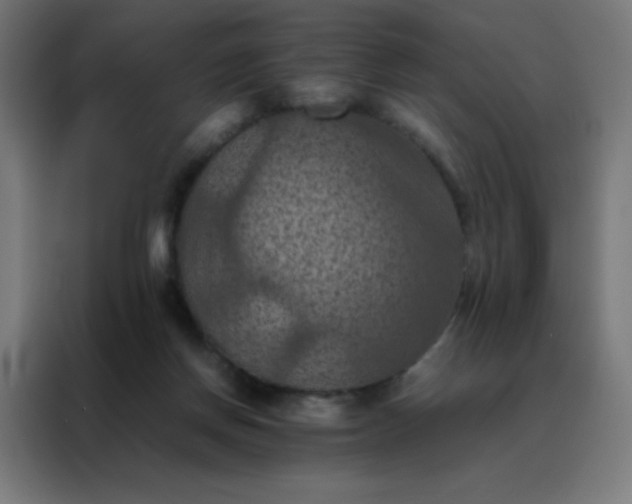 X0000088190166200705221709