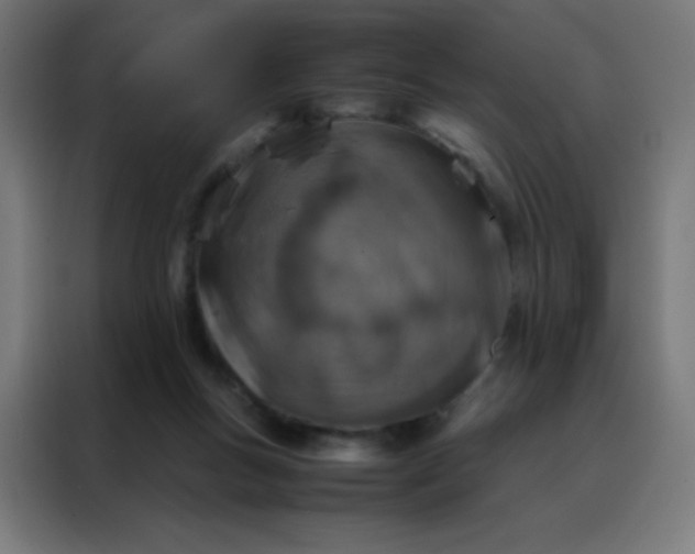 X0000088190167200705221709