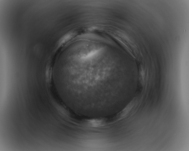 X0000088190168200705221709