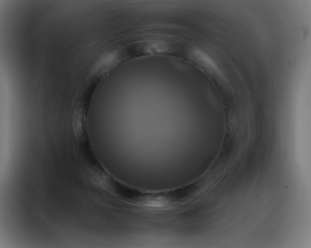 X0000088190169200705221709