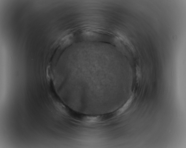 X0000088190170200705221709