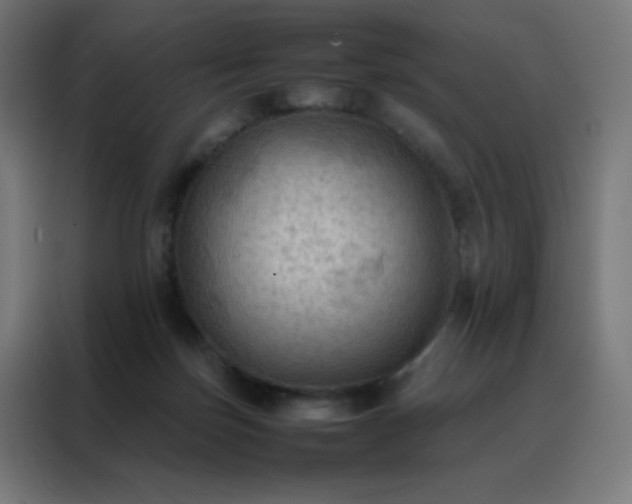 X0000088190171200705221710