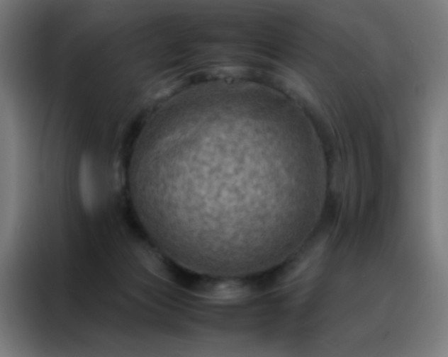 X0000088190173200705221710