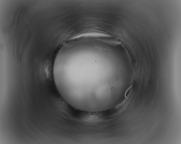 X0000088190175200705221710