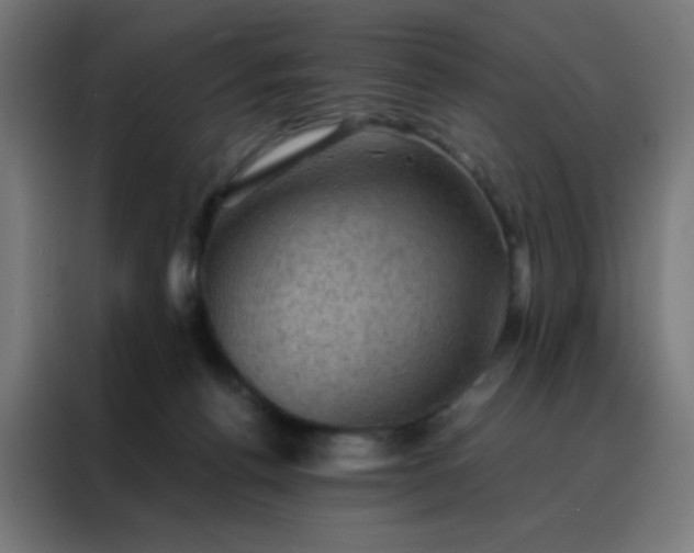 X0000088190176200705221710