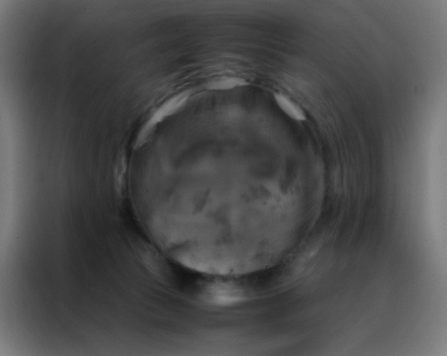 X0000088190177200705221710
