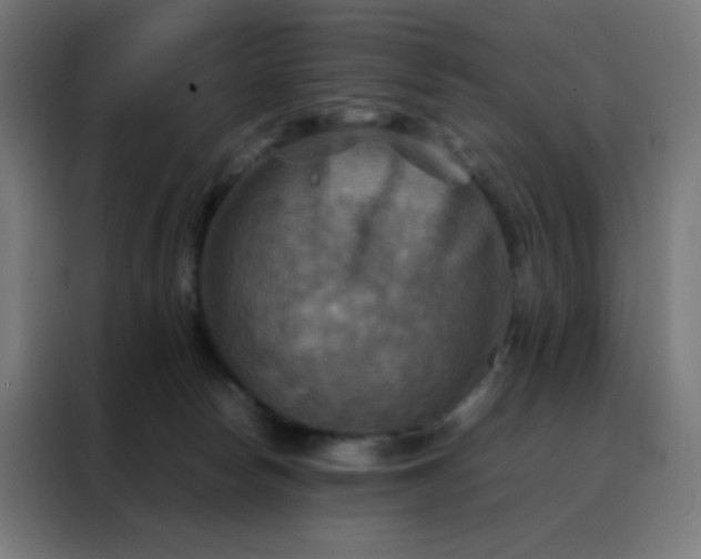 X0000088190178200705221710