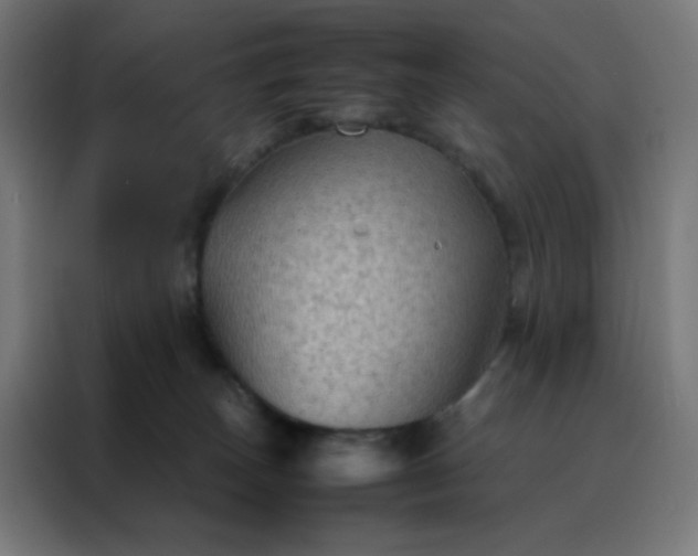 X0000088190179200705221710