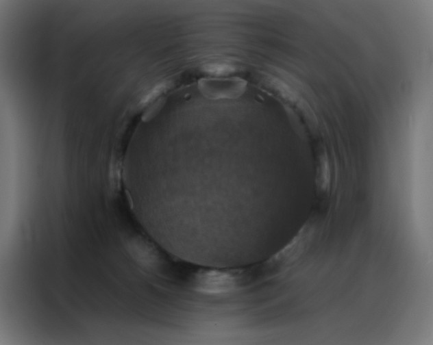 X0000088190180200705221710