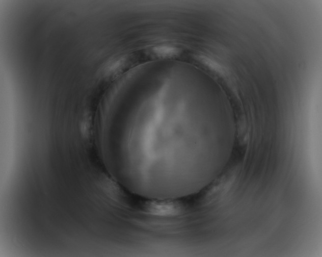 X0000088190181200705221710