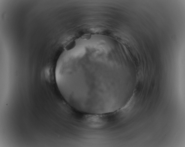 X0000088190182200705221710