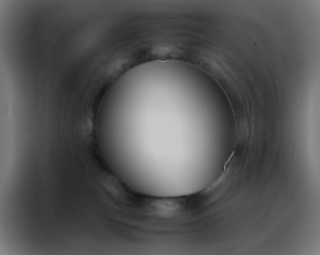 X0000088190183200705221710
