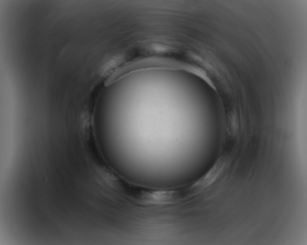 X0000088190184200705221710