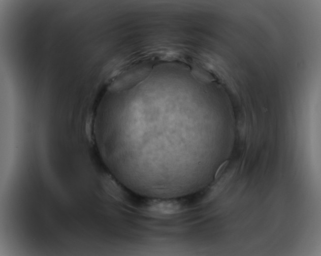 X0000088190185200705221710