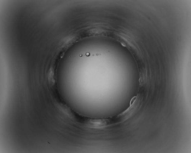 X0000088190187200705221710
