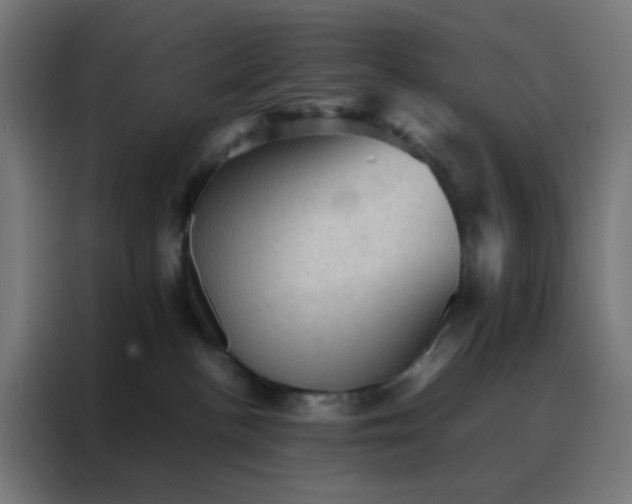 X0000088190188200705221710