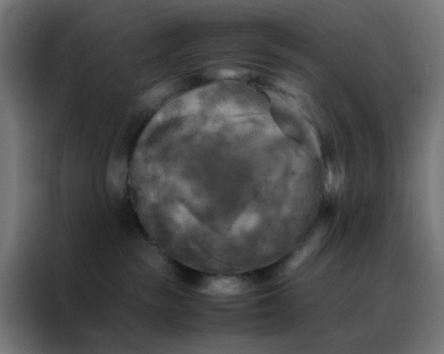 X0000088190189200705221710