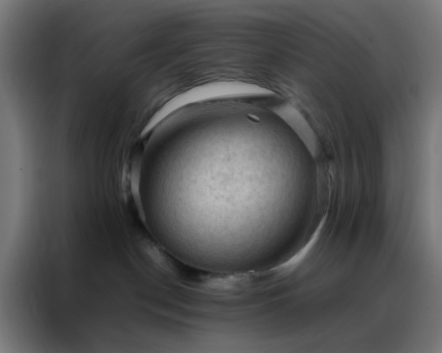 X0000088190190200705221710