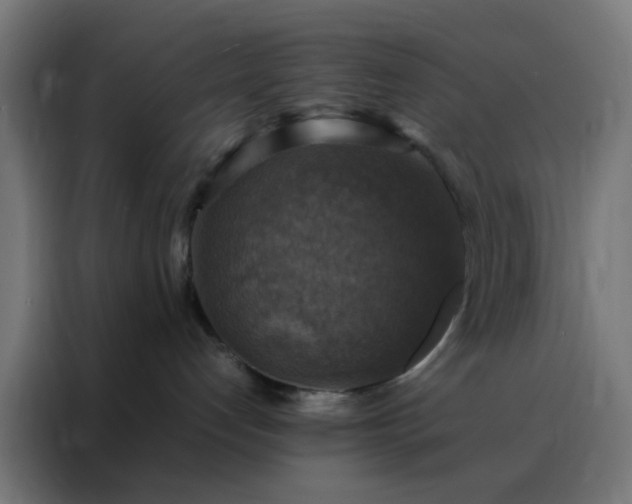 X0000088190192200705221710